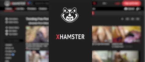 hamsterlive com|xHamster.com